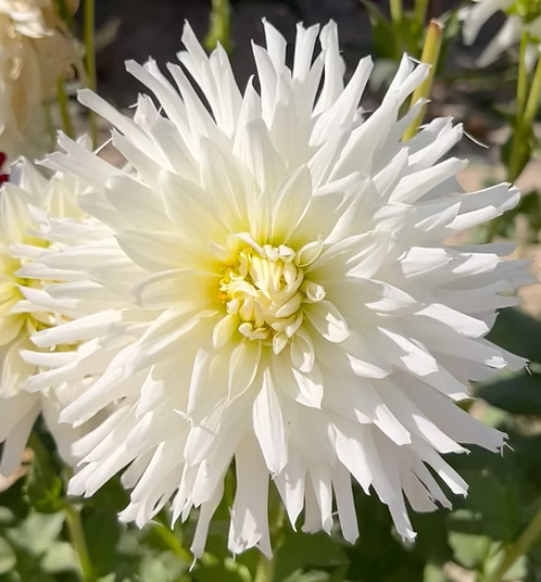 Magic Moment - фото 3