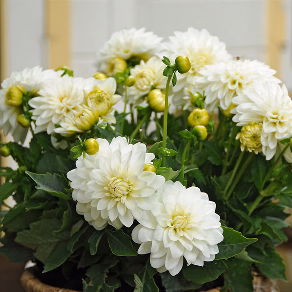 Gallery Art Fire - фото 3